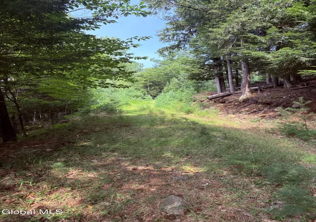 Photo 2 of Land for sale at 232 Eddy Rd, Hadley, NY 12835 | MLS# 202623710 | Listing updated on 2026-08-11