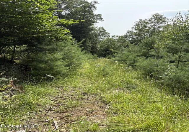 Photo 3 of Land for sale at 232 Eddy Rd, Hadley, NY 12835 | MLS# 202623710 | Listing updated on 2026-08-11