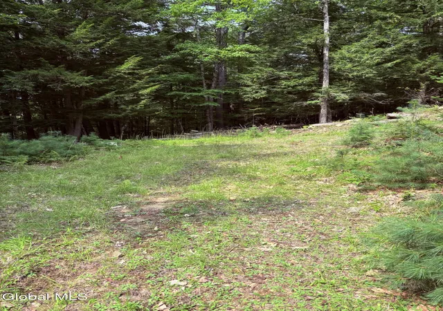 Photo 3 of Land for sale at 232 Eddy Rd, Hadley, NY 12835 | MLS# 202623710 | Listing updated on 2026-08-11