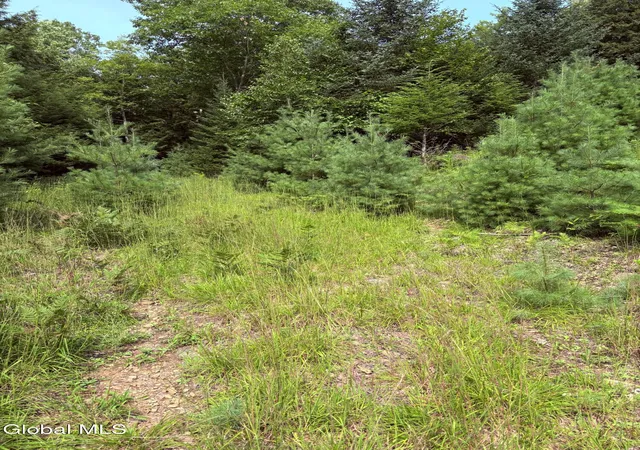 Photo 4 of Land for sale at 232 Eddy Rd, Hadley, NY 12835 | MLS# 202623710 | Listing updated on 2026-08-11