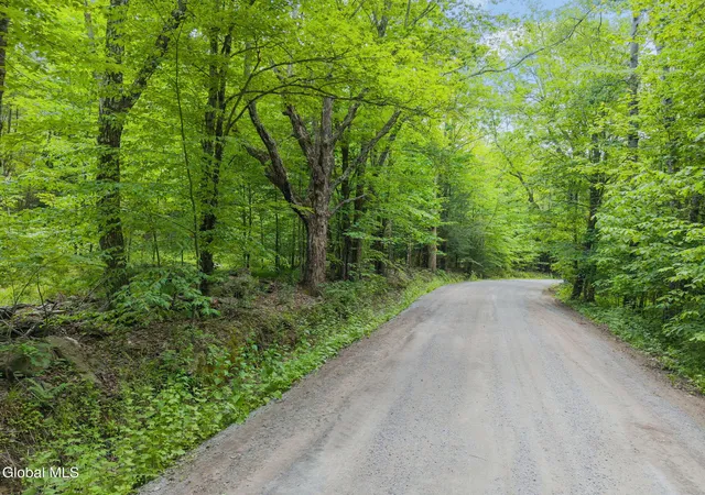 Photo 3 of Land for sale at 114 Stonewall Path & Brand Rd, Gilboa, NY 12076 | MLS# 202623494 | Listing updated on 2026-08-07