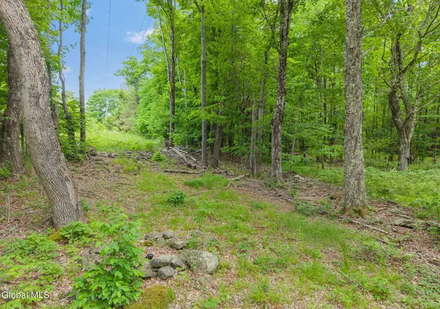 Photo 4 of Land for sale at 114 Stonewall Path & Brand Rd, Gilboa, NY 12076 | MLS# 202623494 | Listing updated on 2026-08-07