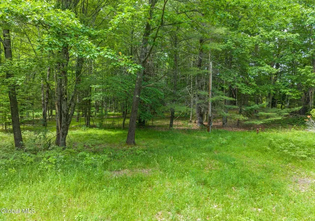 Photo 5 of Land for sale at 114 Stonewall Path & Brand Rd, Gilboa, NY 12076 | MLS# 202623494 | Listing updated on 2026-08-07