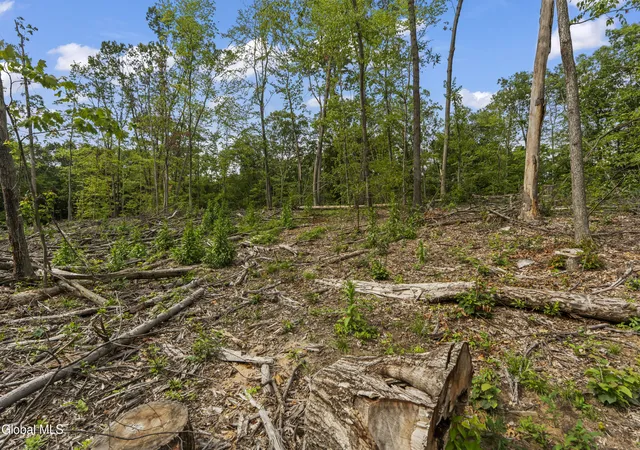 Photo 4 of Land for sale at 226-232 Woodin Rd, Clifton Park, NY 12065 | MLS# 202623457 | Listing updated on 2026-08-06