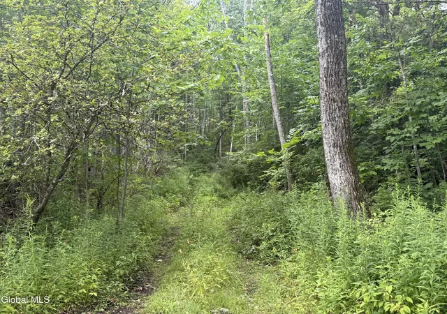 Photo 13 of Land for sale at 1536 North Rd, North Blenheim, NY 12131 | MLS# 202623506 | Listing updated on 2026-09-21