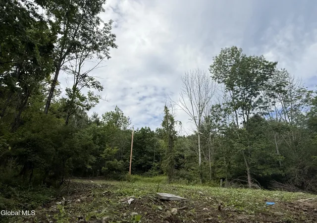 Photo 1 of Land for sale at 1536 North Rd, North Blenheim, NY 12131 | MLS# 202623506 | Listing updated on 2026-09-21