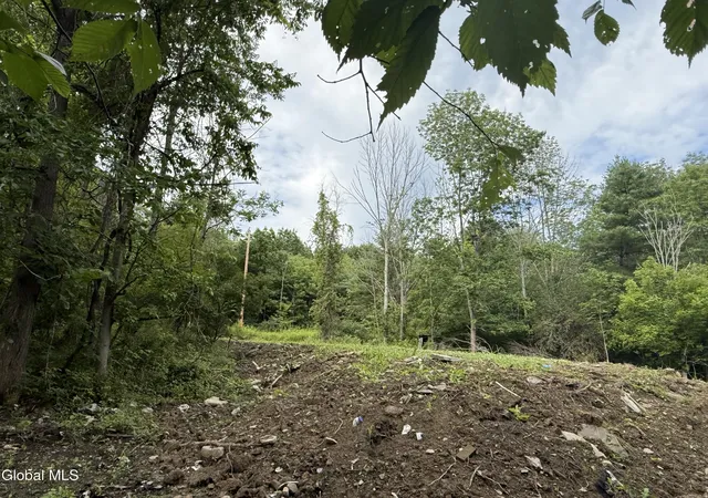 Photo 3 of Land for sale at 1536 North Rd, North Blenheim, NY 12131 | MLS# 202623506 | Listing updated on 2026-09-21