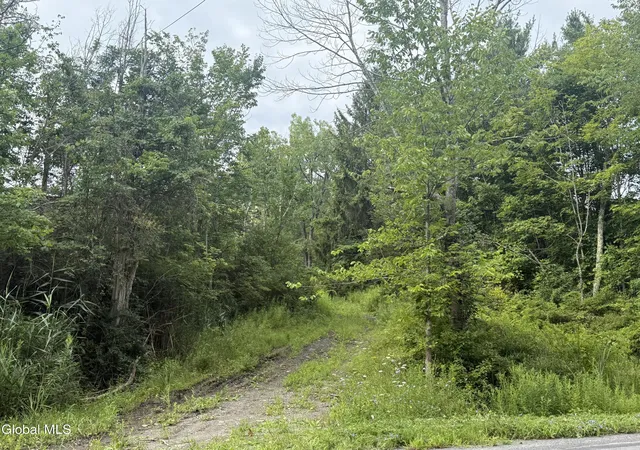 Photo 4 of Land for sale at 1536 North Rd, North Blenheim, NY 12131 | MLS# 202623506 | Listing updated on 2026-09-21
