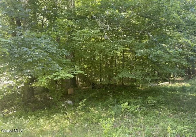 Photo 3 of Single family home for sale at 171 Woodland Dr, Purling, NY 12470 | MLS# 202623572 | Listing updated on 2026-08-10