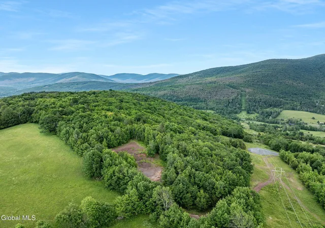 Photo 5 of Land for sale at L41 Overlook Dr, Lexington, NY 12452 | MLS# 202623619 | Listing updated on 2026-08-09
