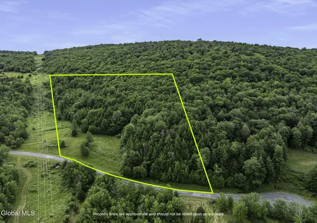 Photo 1 of Land for sale at L281 Deer Ln, Lexington, NY 12452 | MLS# 202623627 | Listing updated on 2026-08-09