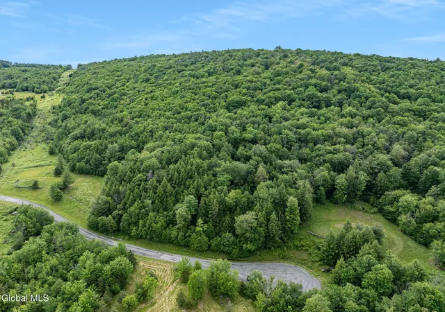 Photo 3 of Land for sale at L281 Deer Ln, Lexington, NY 12452 | MLS# 202623627 | Listing updated on 2026-08-09