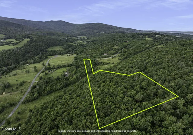 Photo 1 of Land for sale at L202 Overlook Dr, Lexington, NY 12452 | MLS# 202623628 | Listing updated on 2026-08-09