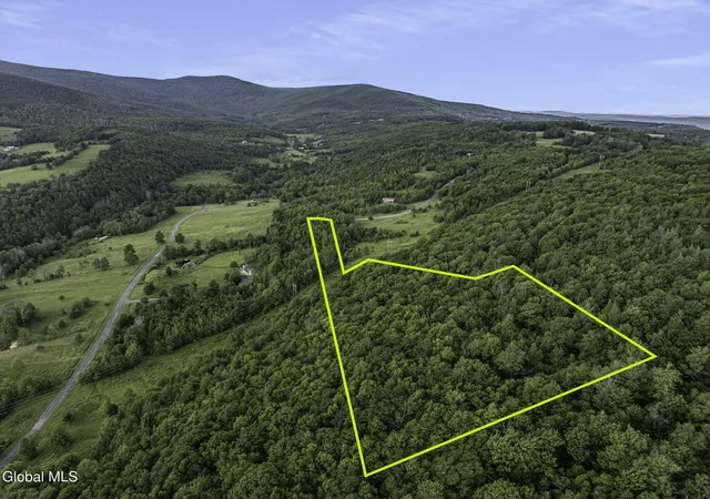 Photo 2 of Land for sale at L202 Overlook Dr, Lexington, NY 12452 | MLS# 202623628 | Listing updated on 2026-08-09