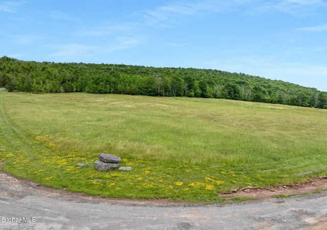 Photo 3 of Land for sale at L10 Overlook Dr, Lexington, NY 12452 | MLS# 202623631 | Listing updated on 2026-08-09