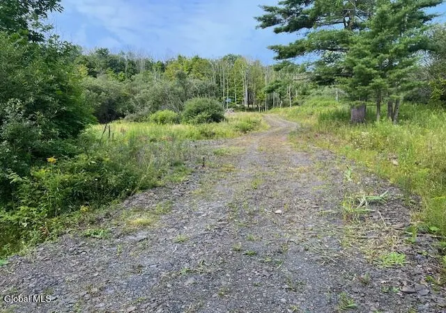 Photo 26 of Land for sale at 457 Dodge Lodge Rd, Richmondville, NY 12149 | MLS# 202623651 | Listing updated on 2026-08-10