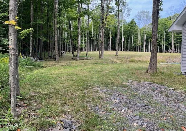 Photo 4 of Land for sale at 457 Dodge Lodge Rd, Richmondville, NY 12149 | MLS# 202623651 | Listing updated on 2026-08-10