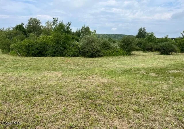Land for sale at L14.411 01 Ennis Rd, Princetown, NY 12306 | MLS# 202623664
