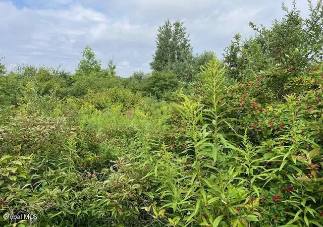 Photo 3 of Land for sale at L14411 01 Ennis Rd, Princetown, NY 12306 | MLS# 202623664 | Listing updated on 2026-08-10