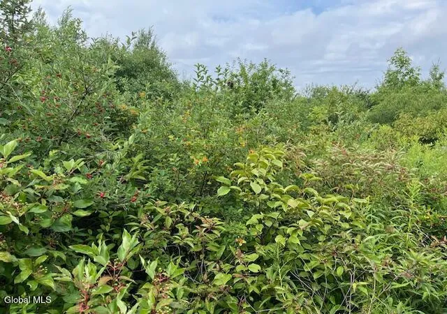 Photo 3 of Land for sale at L14411 01 Ennis Rd, Princetown, NY 12306 | MLS# 202623664 | Listing updated on 2026-08-10