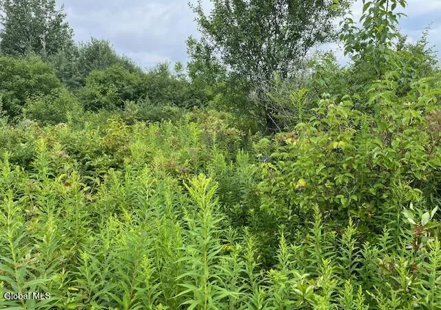 Photo 4 of Land for sale at L14411 01 Ennis Rd, Princetown, NY 12306 | MLS# 202623664 | Listing updated on 2026-08-10