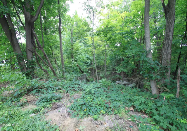 Photo 2 of Sale Pending at 31 33 Spring St, Hudson, NY 12534 | MLS# 202623828 | Listing updated on 2026-09-22
