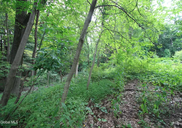 Photo 3 of Sale Pending at 31 33 Spring St, Hudson, NY 12534 | MLS# 202623828 | Listing updated on 2026-09-22