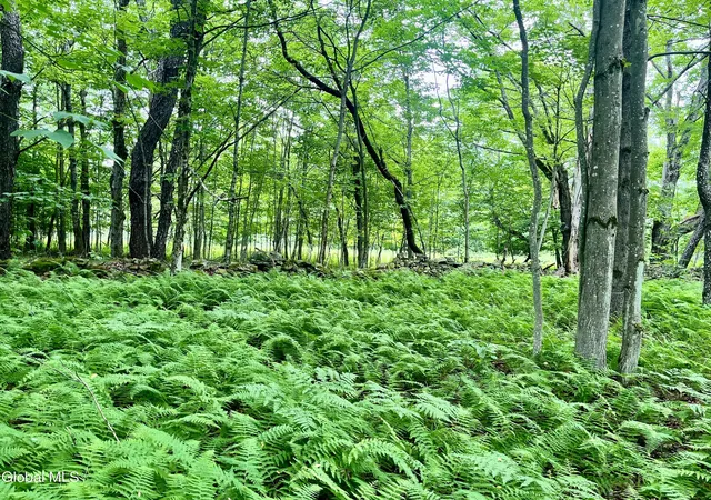 Photo 3 of Land for sale at 2285 State Route 10, Jefferson, NY 12093 | MLS# 202623693 | Listing updated on 2026-09-26