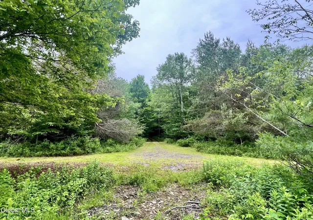 Photo 3 of Land for sale at 2285 State Route 10, Jefferson, NY 12093 | MLS# 202623693 | Listing updated on 2026-09-26
