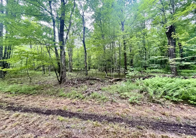 Photo 4 of Land for sale at 2285 State Route 10, Jefferson, NY 12093 | MLS# 202623693 | Listing updated on 2026-09-26