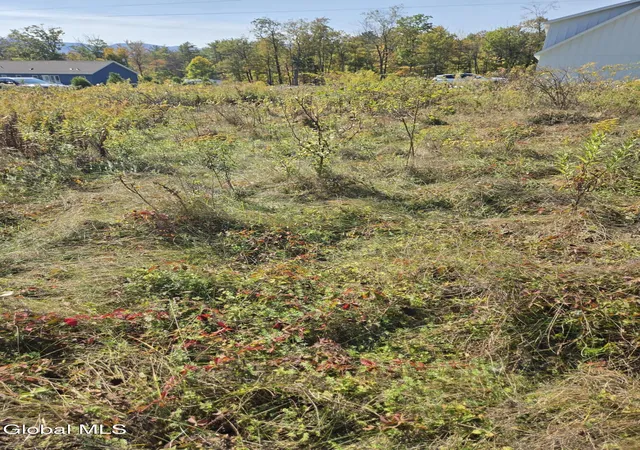Photo 2 of Land for sale at L23 Sunny Hl Acrs, Greenville, NY 12083 | MLS# 202623815 | Listing updated on 2026-08-21