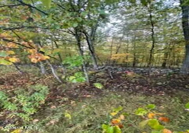 Photo 3 of Land for sale at L23 Sunny Hl Acrs, Greenville, NY 12083 | MLS# 202623815 | Listing updated on 2026-08-21