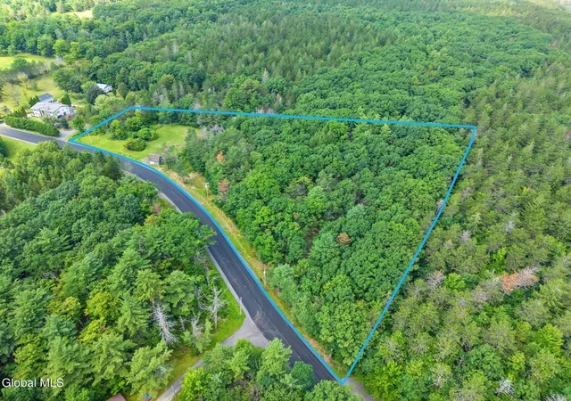 Land for sale at 533 Willsie Rd, East Berne, NY 12059 | MLS# 202624323