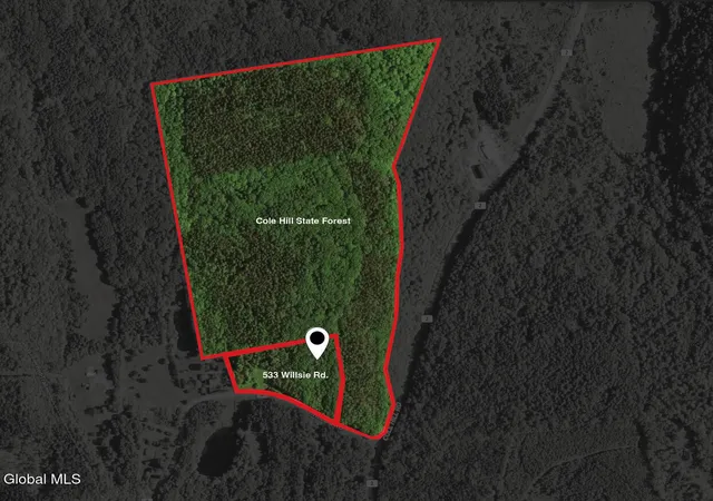 Photo 1 of Land for sale at 533 Willsie Rd, East Berne, NY 12059 | MLS# 202624323 | Listing updated on 2026-08-19
