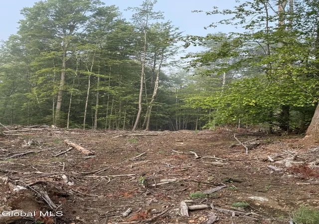 1st image of 336 Dickinson Hill Rd, Diamond Point, NY 12824 | MLS# 202624068
