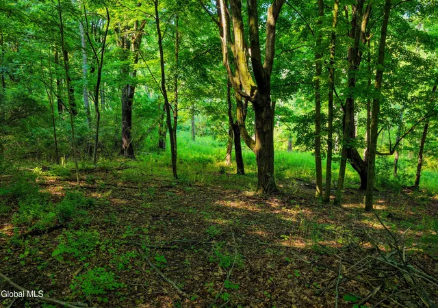 19th image of 2620 New York 9h, Kinderhook, NY 12106 | MLS# 202623958