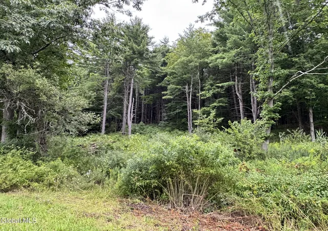 2nd image of 154 County Route 60, Cambridge, NY 12816 | MLS# 202624494