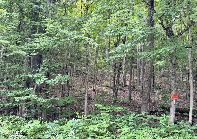 3rd image of 154 County Route 60, Cambridge, NY 12816 | MLS# 202624494