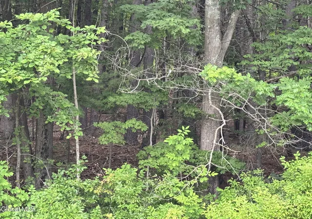 4th image of 154 County Route 60, Cambridge, NY 12816 | MLS# 202624494