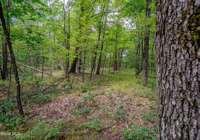 4th image of 52 Oak Hill Rd, Hebron, NY 12832 | MLS# 202624514