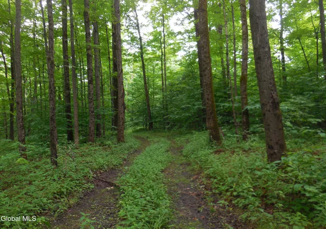 28th image of L175 N Knight North Rd, Duanesburg, NY 12053 | MLS# 202624194