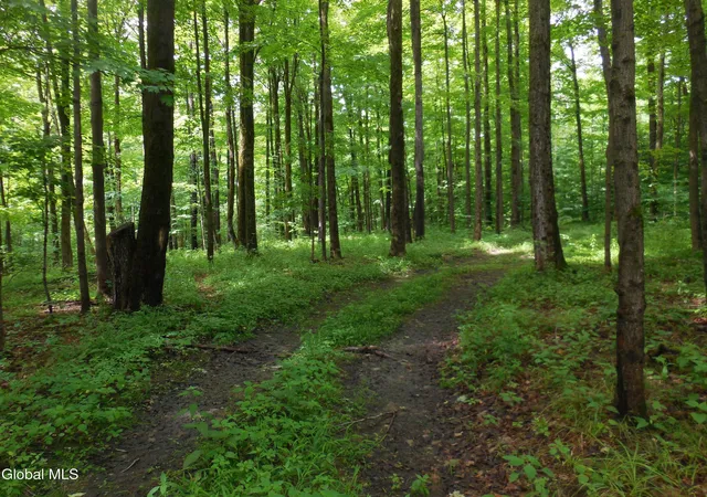 2nd image of L175 N Knight North Rd, Duanesburg, NY 12053 | MLS# 202624194