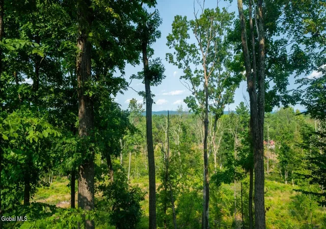 Photo 22 of Land for sale at 120 130 High Ridge Villa Rd, Purling, NY 12470 | MLS# 202624273 | Listing updated on 2026-08-20