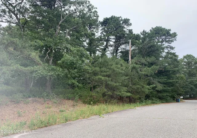 3rd image of 121 Cemetary Rd, West Creek, NJ 08092 | MLS# 22622424