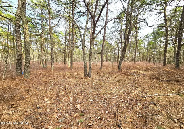 2nd image of 17 Birchwood Dr, Little Egg Harbor Twp, NJ 08087 | MLS# 22622769