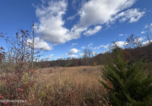 2nd image of 28 Mccaffery Rd, Englishtown, NJ 07726 | MLS# 22623577