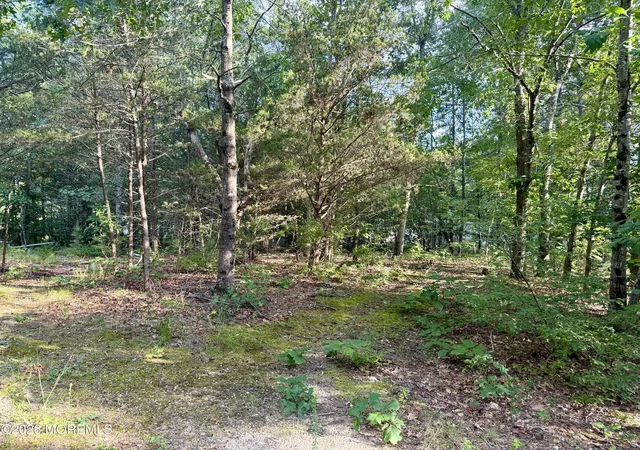 1st image of 0 Lakehurst Ave, Jackson, NJ 08527 | MLS# 22624429