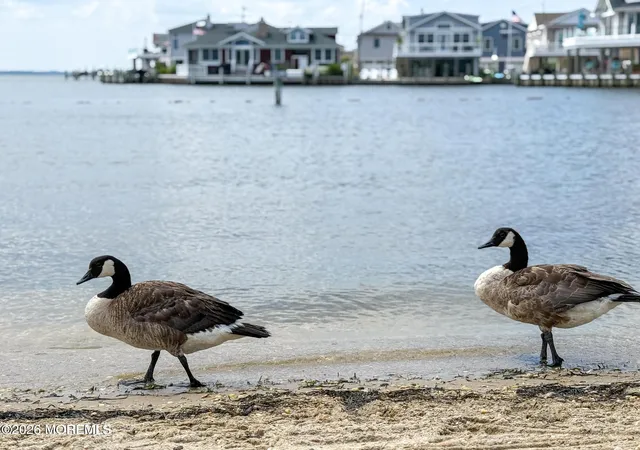 34th image of 34 E Tarpon Wy, Lavallette, NJ 08735 | MLS# 22624360