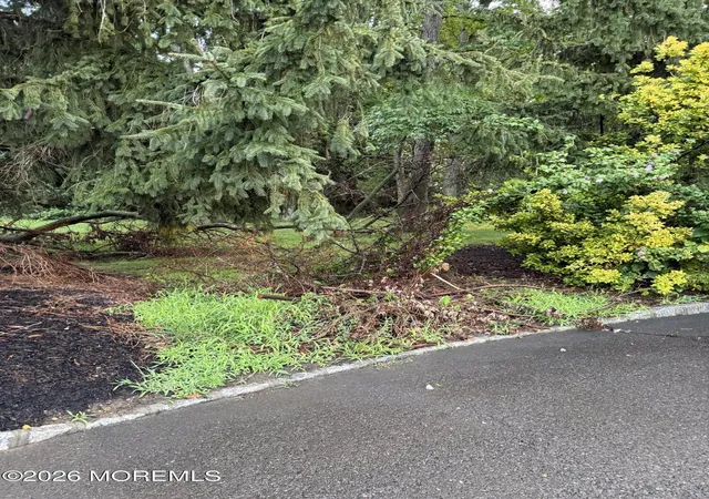 3rd image of 8 Ziegler Pl, Matawan, NJ 07747 | MLS# 22625953