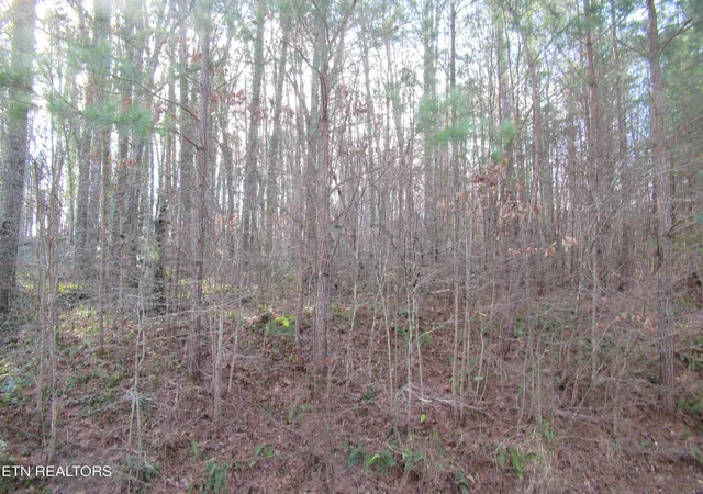 10th image of Tomotley Rd, Maryville, TN 37801 | MLS# 1350709